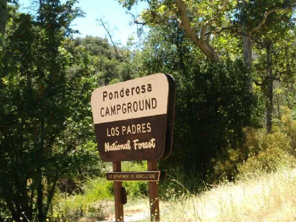 Ponderosa Campground 9
