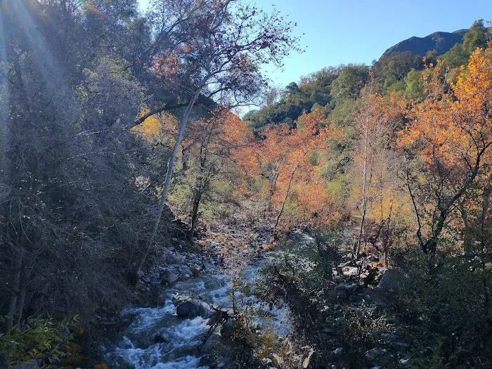 Sandy campgrounds 5