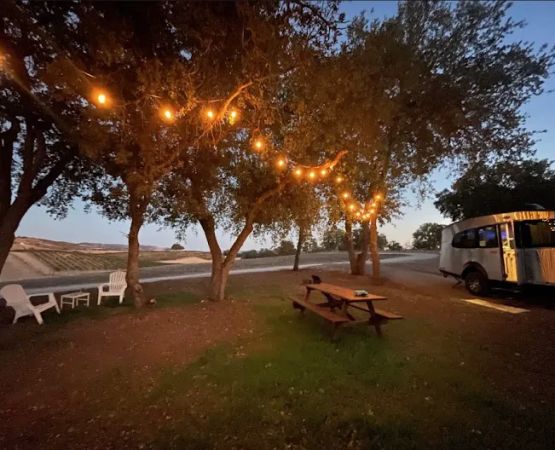 Private Vineyard and Mountain Views Campsites