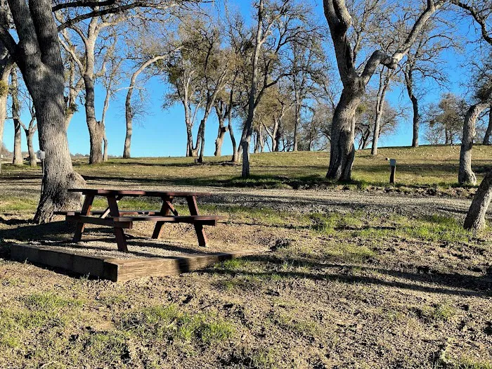 Private Vineyard and Mountain Views Campsites 8