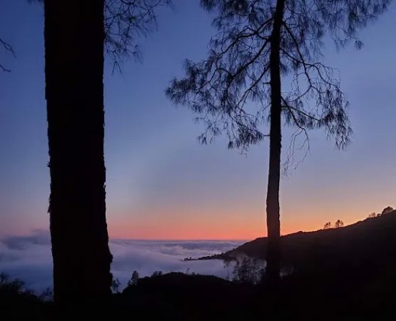 Lions Den Campground