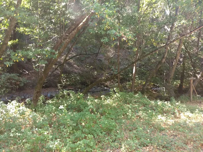 Estrella Campground 3