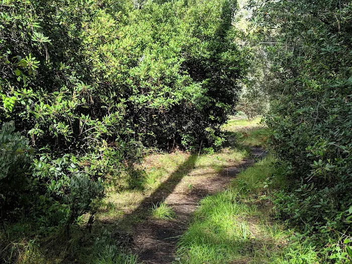 Estrella Campground 2