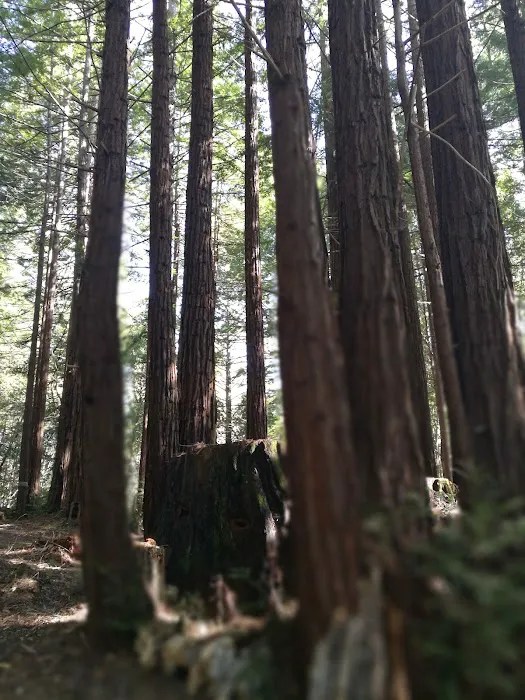 McCormick Creek Camp & Gardens LLC Picture 1