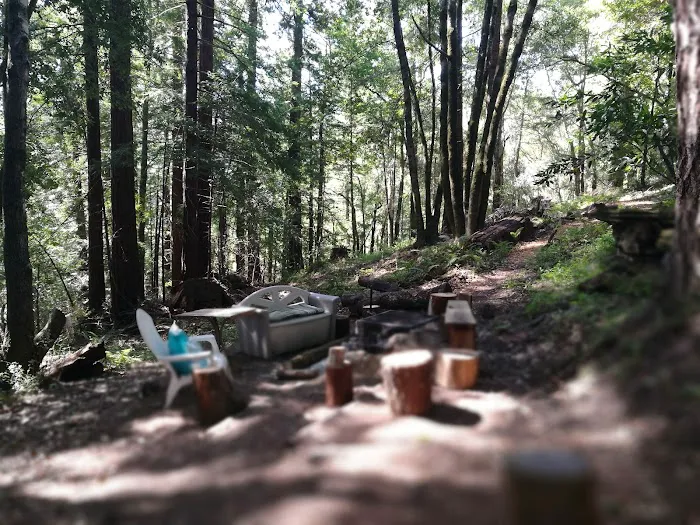 McCormick Creek Camp & Gardens LLC Picture 2