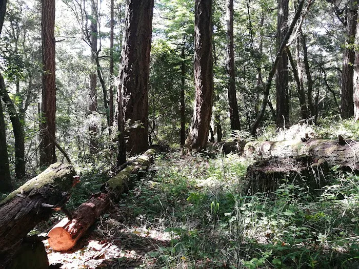 McCormick Creek Camp & Gardens LLC Picture 4