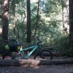 Shaw Flat Trail Camp