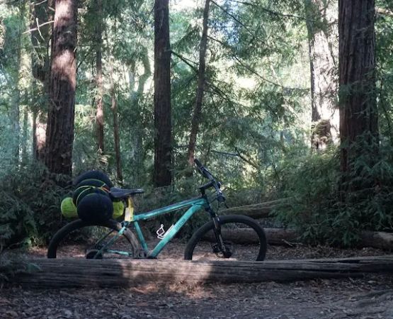 Shaw Flat Trail Camp