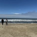 Half Moon Bay State Park