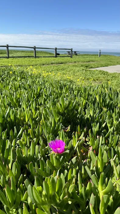 Half Moon Bay State Park 5