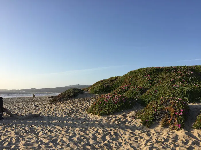 Half Moon Bay State Park 8
