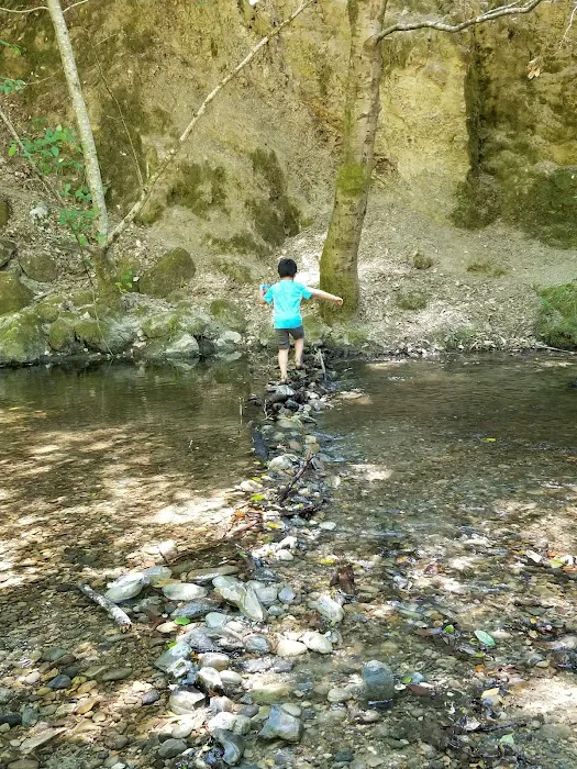 Wurr Flat #2 | Memorial Park 4