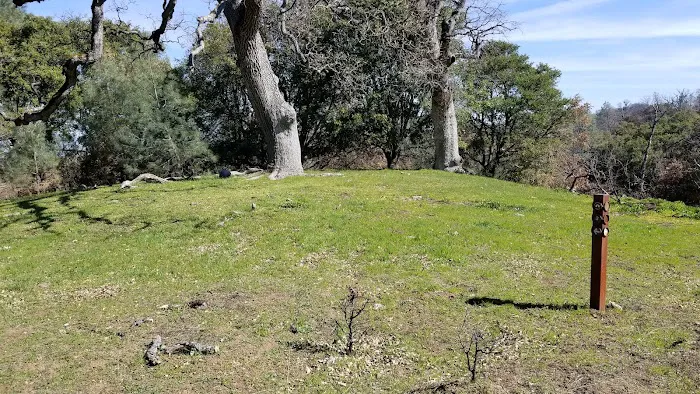 Maggie’s Half Acre Camp 4