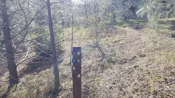 Maggie’s Half Acre Camp 2
