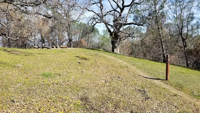 Maggie’s Half Acre Camp 1