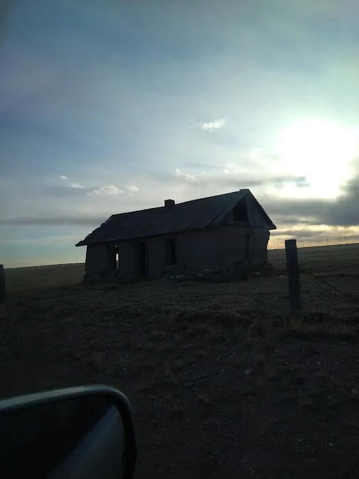 Maggie’s Half Acre Camp 3