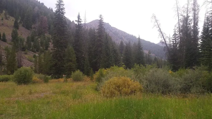 Park Creek Campground 3