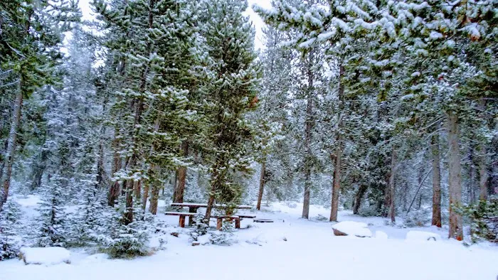 Park Creek Campground 5