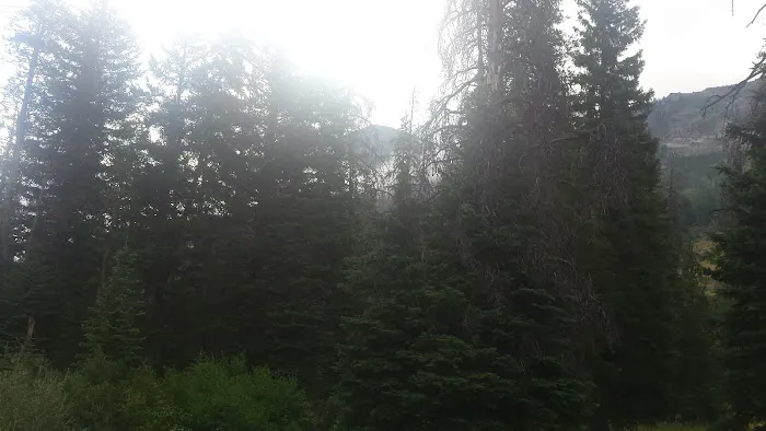 Park Creek Campground 4