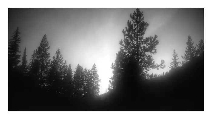 Park Creek Campground 6