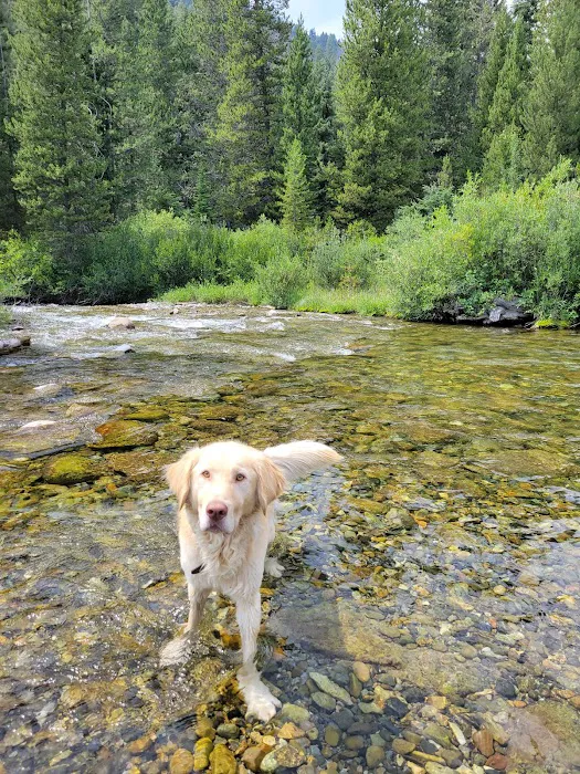 Murdock Campground 5