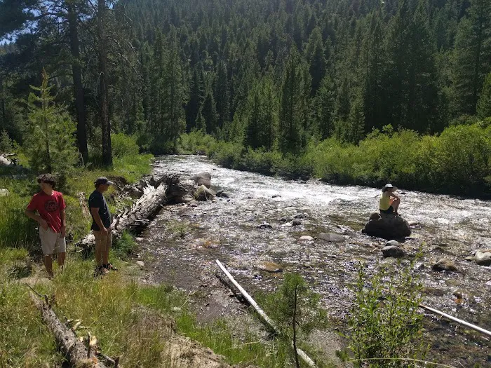 Murdock Campground 6