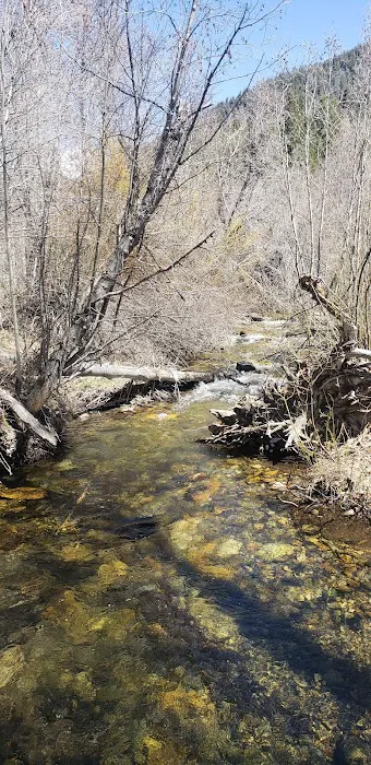 Sawmill Campground 4