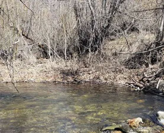 Sawmill Campground