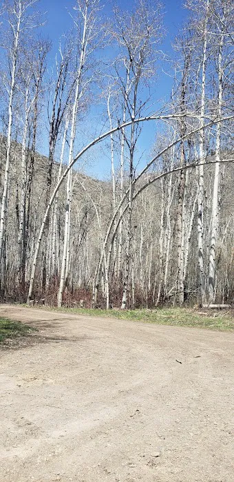 Sawmill Campground 5