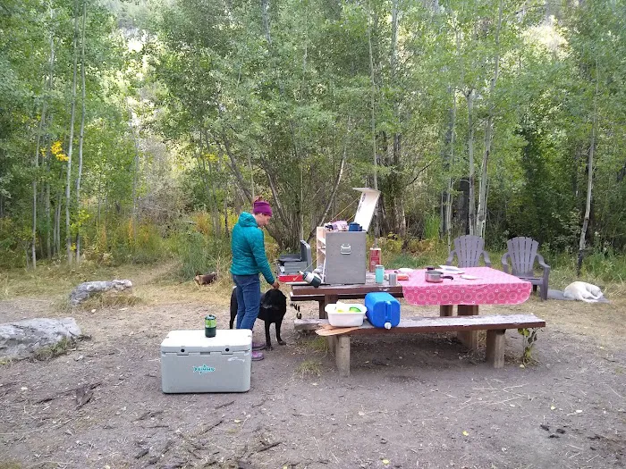 Sawmill Campground 3