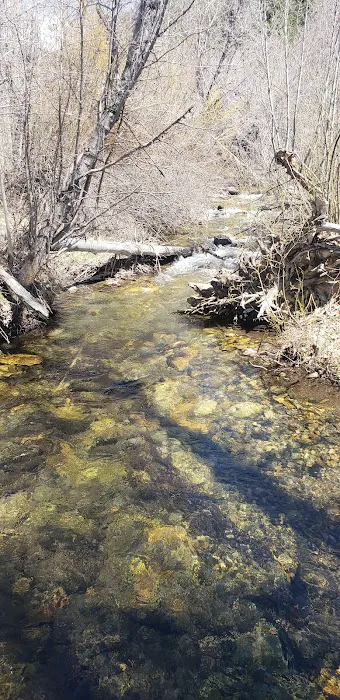 Sawmill Campground 8