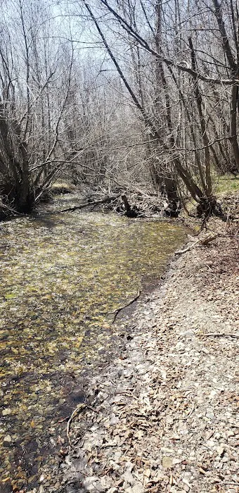 Sawmill Campground 7