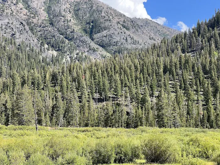Phi Kappa Campground 2