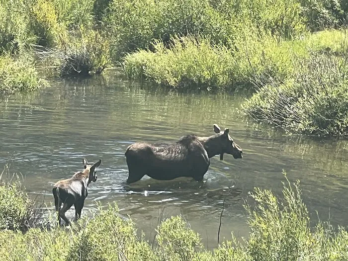 Phi Kappa Campground 6