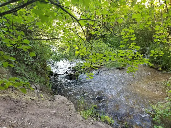 Oakley Stake Ranch 1