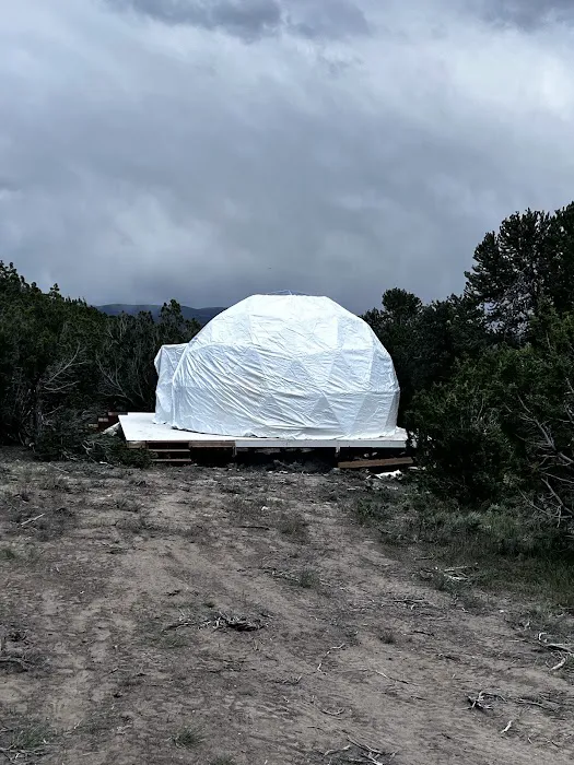 Scruffy Buffalo Glamp 7
