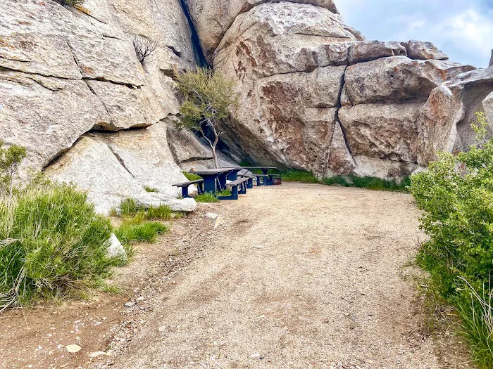 Twin Sisters Group Campground 8