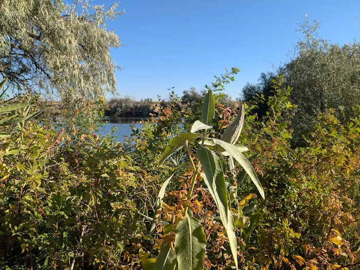 Bass Bay Recreational Site 4