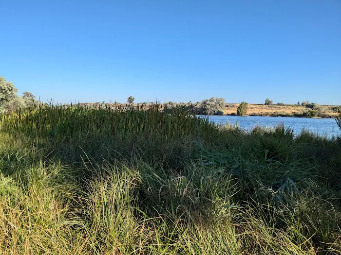 Bass Bay Recreational Site 3