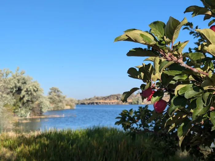 Bass Bay Recreational Site 6