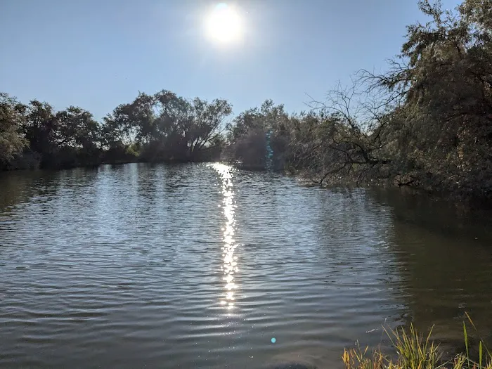 Bass Bay Recreational Site 7