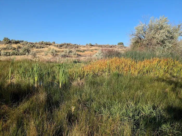 Bass Bay Recreational Site 8