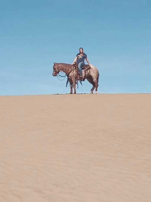 Lake Channel Sand Dunes- BLM Recreation Area 0