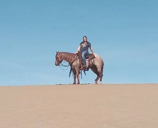 Lake Channel Sand Dunes- BLM Recreation Area