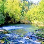 East Fork Recreation Area