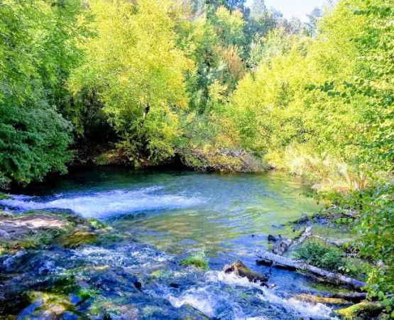 East Fork Recreation Area