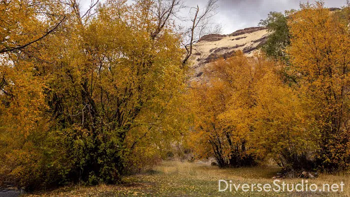 Schipper Campground 1