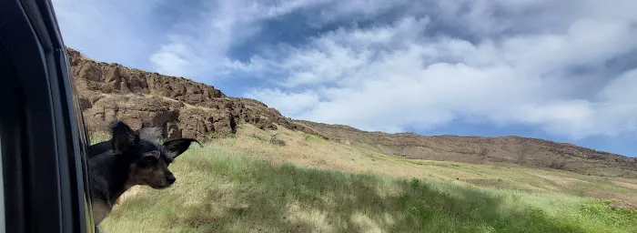 Schipper Campground 6
