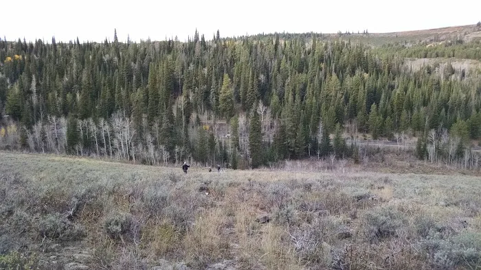 Pettit Campground 1