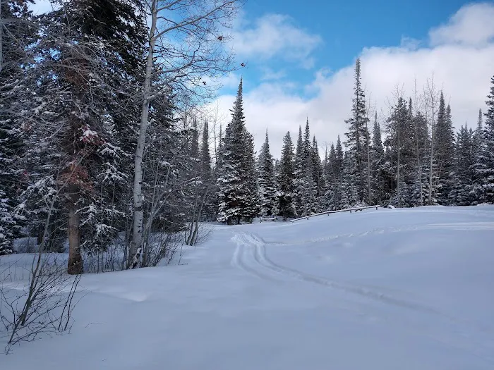 Camp Pine Dell 2